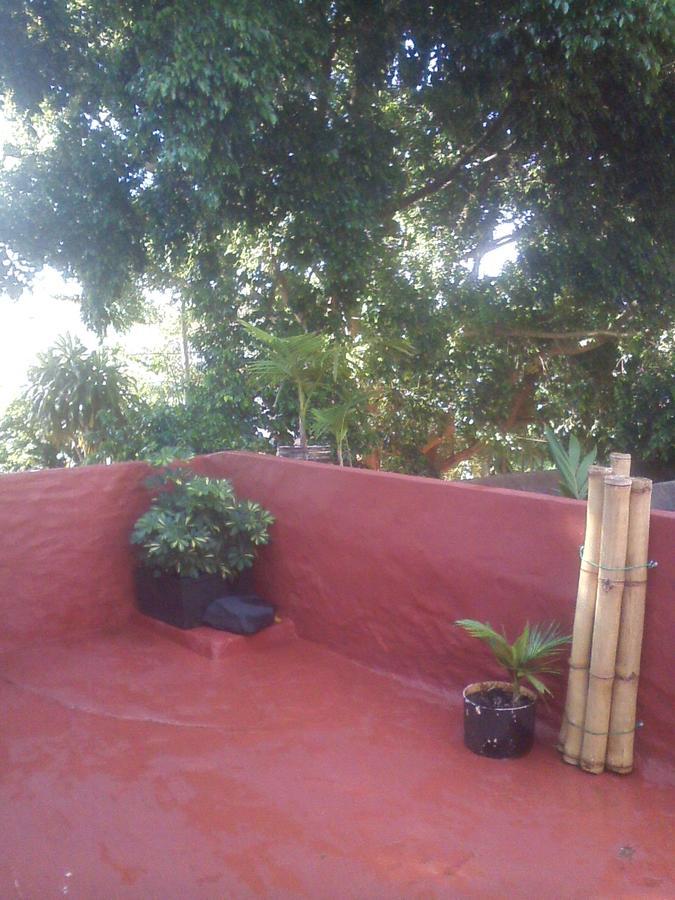 Flia Ocampo Leilighet Puerto Iguazú Eksteriør bilde